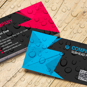 Sustainable business cards  (85 x 55 mm) -Minimum Order Quantity (MOQ): 250